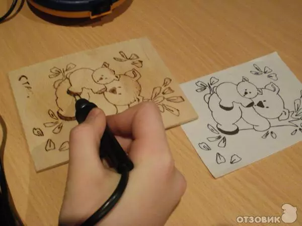 Queimar en madeira: bocetos e debuxos de natureza para principiantes e nenos