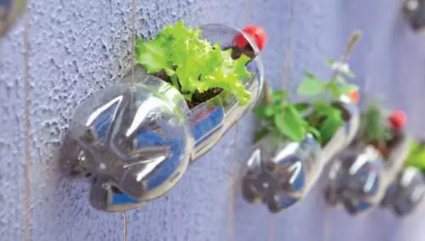 Potas para flores coas súas propias mans de botellas de plástico con fotos e video