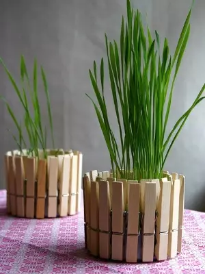 Krukor för blommor med egna händer från plastflaskor med bilder och video