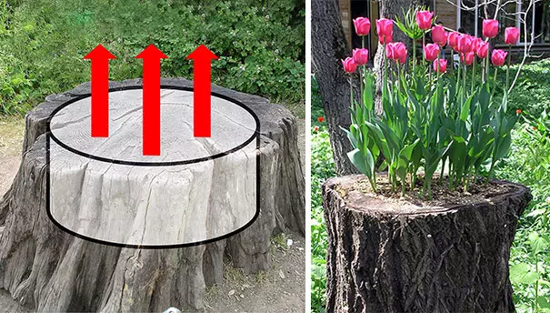 Krukor för blommor med egna händer från plastflaskor med bilder och video