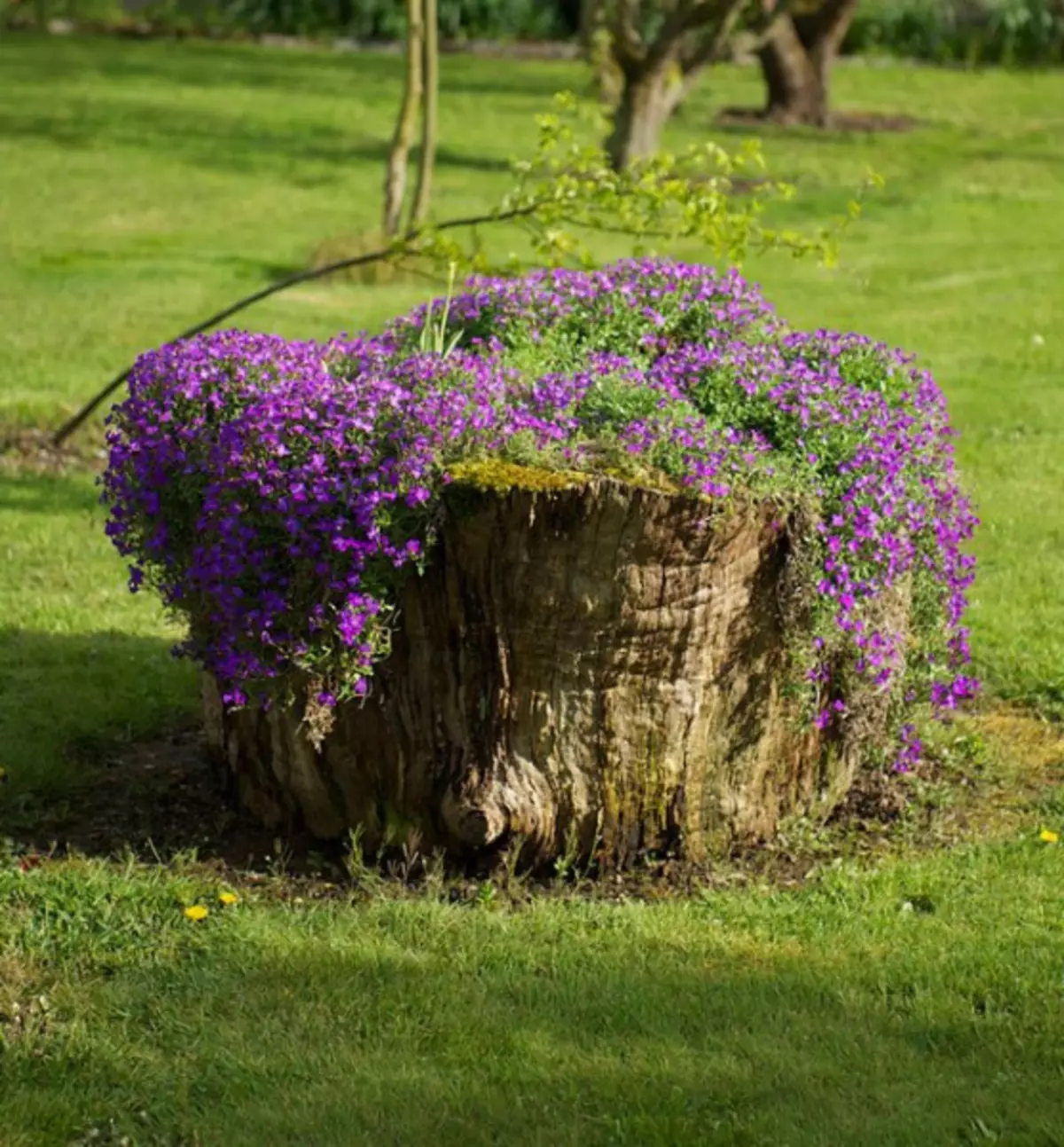 Krukor för blommor med egna händer från plastflaskor med bilder och video