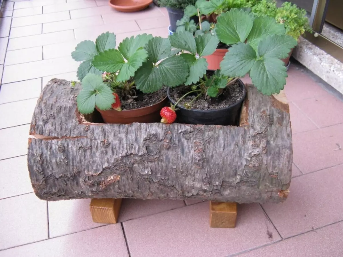 Potas para flores coas súas propias mans de botellas de plástico con fotos e video