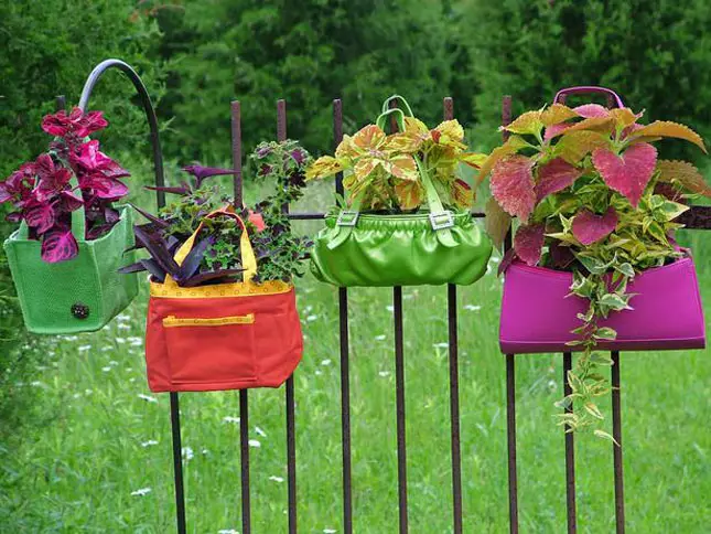 Potas para flores coas súas propias mans de botellas de plástico con fotos e video