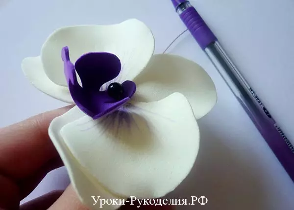 Klassi Master fuq Foamyran: Orkidea, Georgin u Mac bir-ritratti u l-vidjow