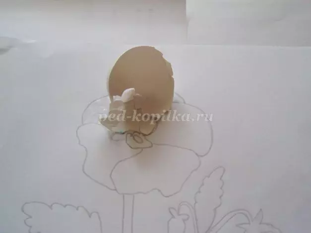 Мозаик од јајце школка го направи тоа сами: господар класа со фотографии и видео