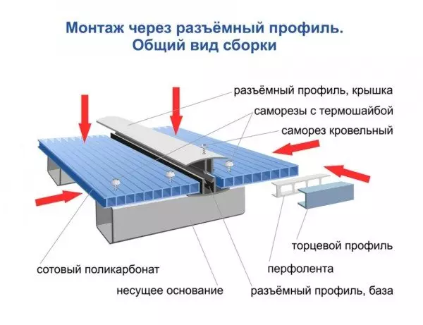 Arbor-ийг хажуу талаас хэрхэн хаах вэ: Цаг агаар муугаас хамгаалах арга