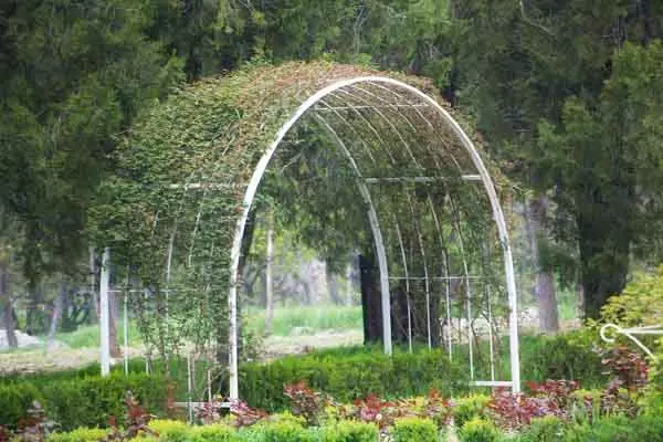 Arbor de los tubos con tus propias manos - versiones simples de estructuras de jardín