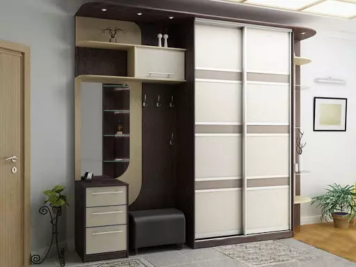 Ambayo WARDROBE ni bora kuchagua kwa ukumbi wa mlango