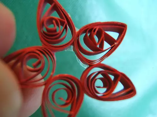 beginners کے لئے Quilling ٹیکنالوجی میں پھول: تصاویر اور ویڈیوز کے ساتھ منصوبوں