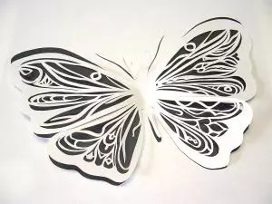 Қатъи бабочка: Синфи Мастер барои шурӯъкунандагон бо аксҳо ва видео