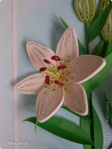 Quilling paintings: master class with step-by-step photos and video for beginners