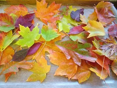 Guirnaldas y coronas de hojas de otoño hágalo usted mismo.