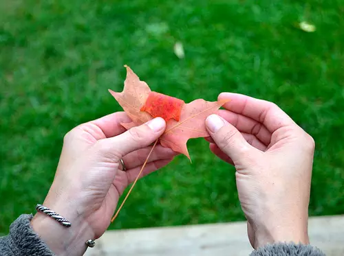 Autumn palumpon ng mga dahon gawin ito sa iyong sarili sa mga larawan at video