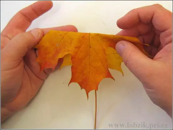 Bouquet di autunno delle foglie fa da te con foto e video