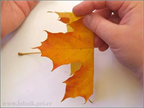 Herbststrauß von Blättern Tun Sie es selbst mit Fotos und Videos