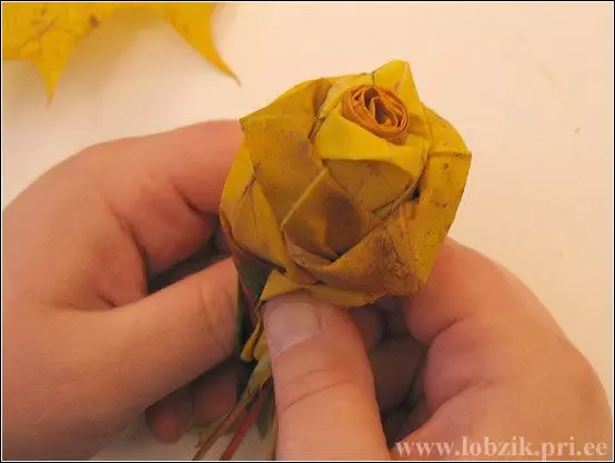 LEAVES এর শরৎ bouquet ফটো এবং ভিডিও সঙ্গে নিজেকে এটা করে