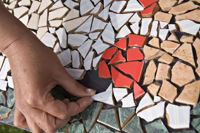 Mosaik vum Fliedermaustefich Do-et - Dir selwer fir Kichen a Buedzëmmer mat Fotoen a Videoen