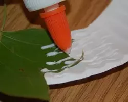 Στεφάνι φθινοπωρινά φύλλα με τα χέρια τους: master class με βίντεο