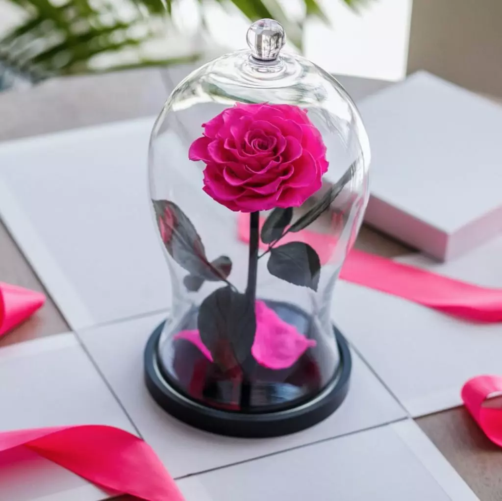 گل رز در فلاسک به عنوان یک هدیه برای یک دختر
