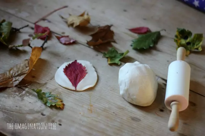 Herbarium fan blêden mei har eigen hannen foar beukerskoalle en skoalle mei foto's