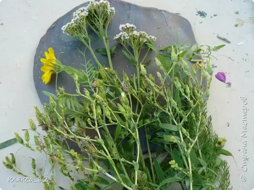 Herbarium fan blêden mei har eigen hannen foar beukerskoalle en skoalle mei foto's