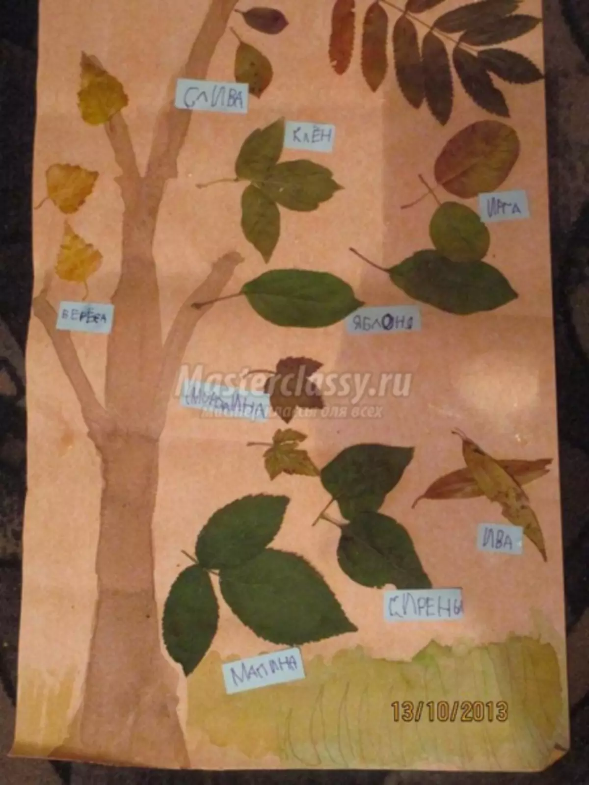 Herbario de follas coas súas propias mans para xardín de infancia e escola con fotos
