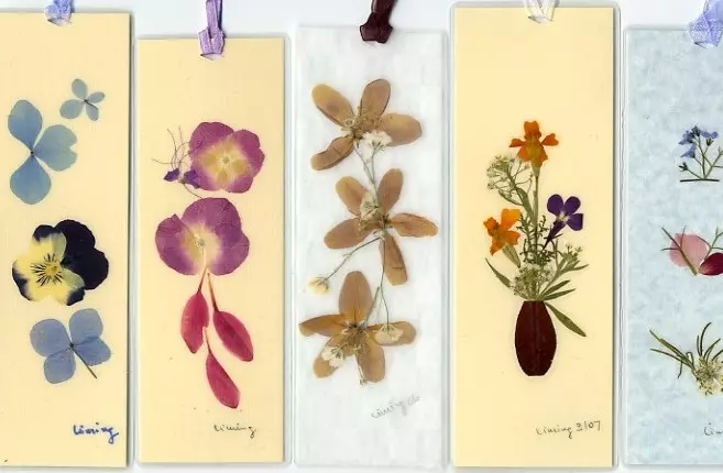 Herbárium a levelektől a saját kezével az óvodákhoz és az iskolához a fotókkal