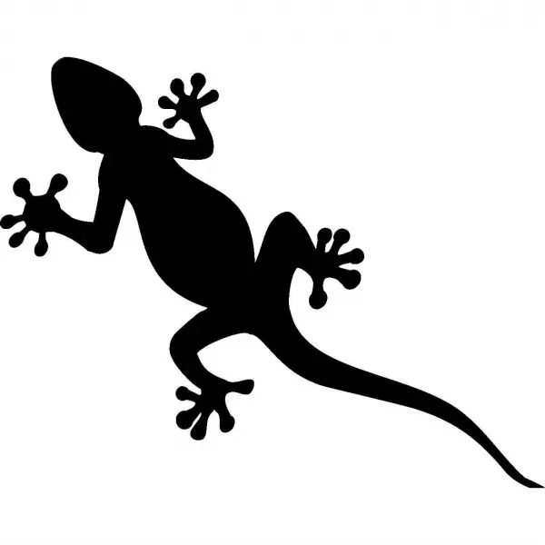 Lizard pamadziro - mapatani ematanho