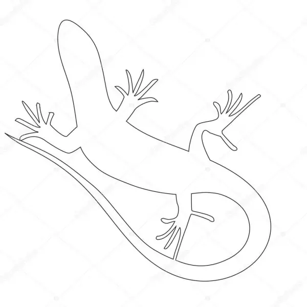Lizard pamadziro - mapatani ematanho
