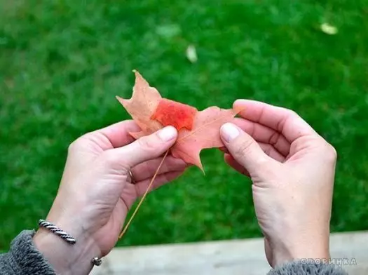 Iquiban aus Blättern tut es selbst für Kinder mit Fotos und Videos