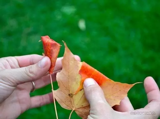 Iquiban de folhas faz você mesmo para crianças fotos e vídeos