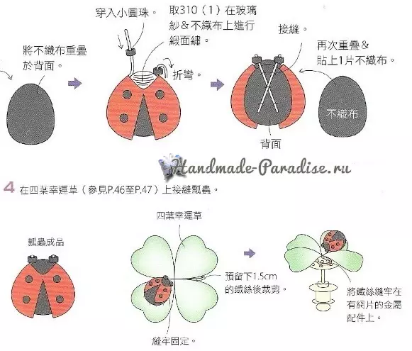 Blooming Cỏ ba lá và bọ rùa