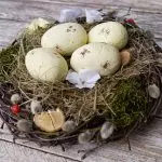 Bird's Nest gjør det selv - et vakkert håndverk