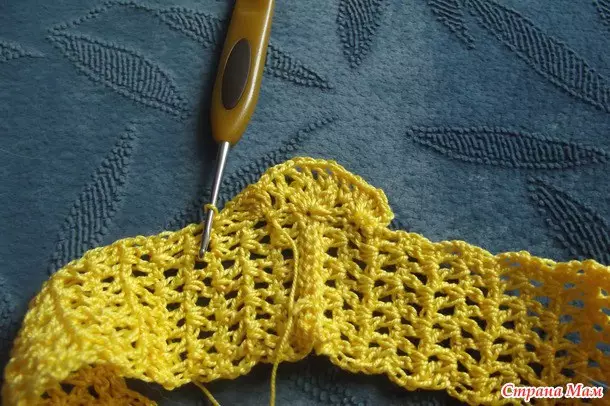 Pleteni rukavac sa rukavima Crochet - majstorska klasa sa fotografijom