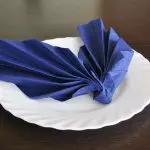 節日表的餐巾紙多麼美妙地折疊：各種各樣的選項[碩士課程]