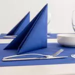 Hvor vakkert foldet servietter til festbordet: Utvalg av alternativer [Master Classes]