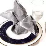 Hoe pragtig gevoude servette vir die feestelike tafel: Verskeidenheid opsies [Meesterklasse]