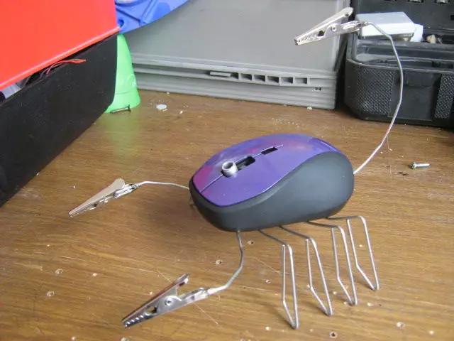 Scorpione da un mouse del computer