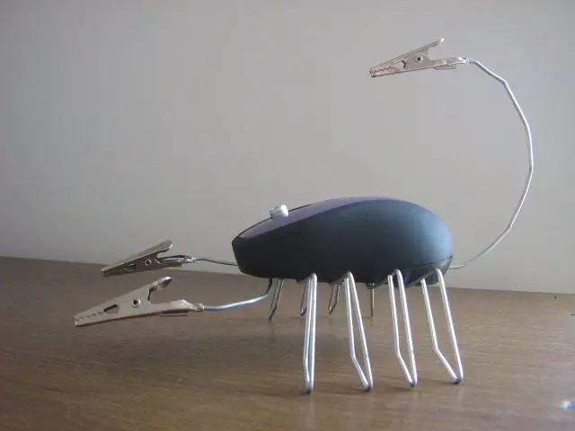 Escorpión dun rato de ordenador