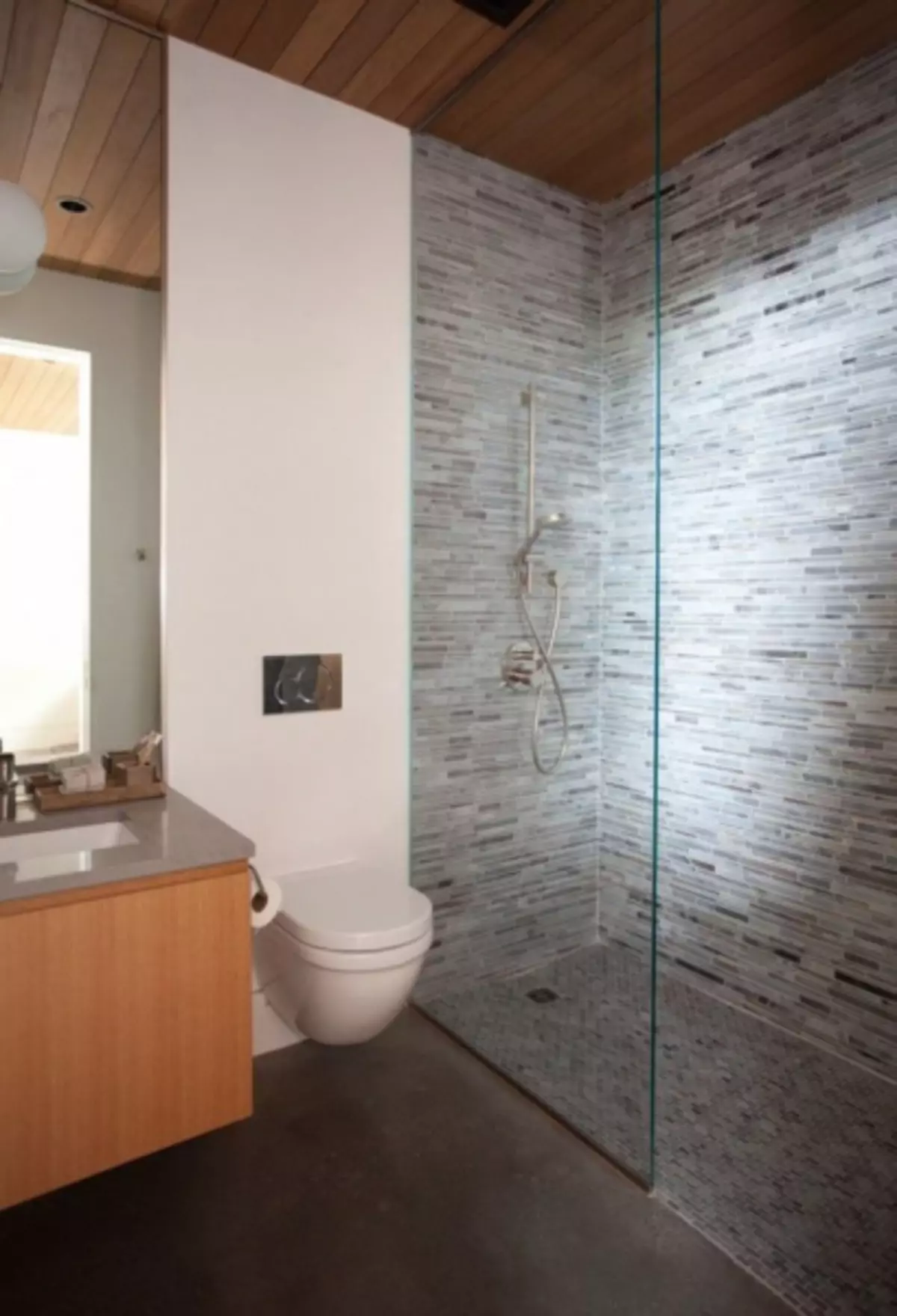 Interior Kamar Mandi Dikombinasikan Dengan Toilet: Cara Melakukan Indah Dan Praktis Pada Ruang Kecil (38 Foto)