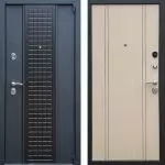 Trieu la porta d'entrada a l'apartament: característiques d'estructures i consells de professionals