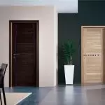 Farbe der Türen und Boden im Innenraum: Tipps zur Auswahl und Kombination von Farbtönen | +65 Foto.