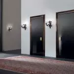 Sådan har du det harmonisk at komme ind i mørke døre i interiøret: Grundlæggende regler og tips (+78 Billeder)