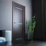 Wenge color doors in the interior of modern apartments: features and tips on choosing | +48 photo