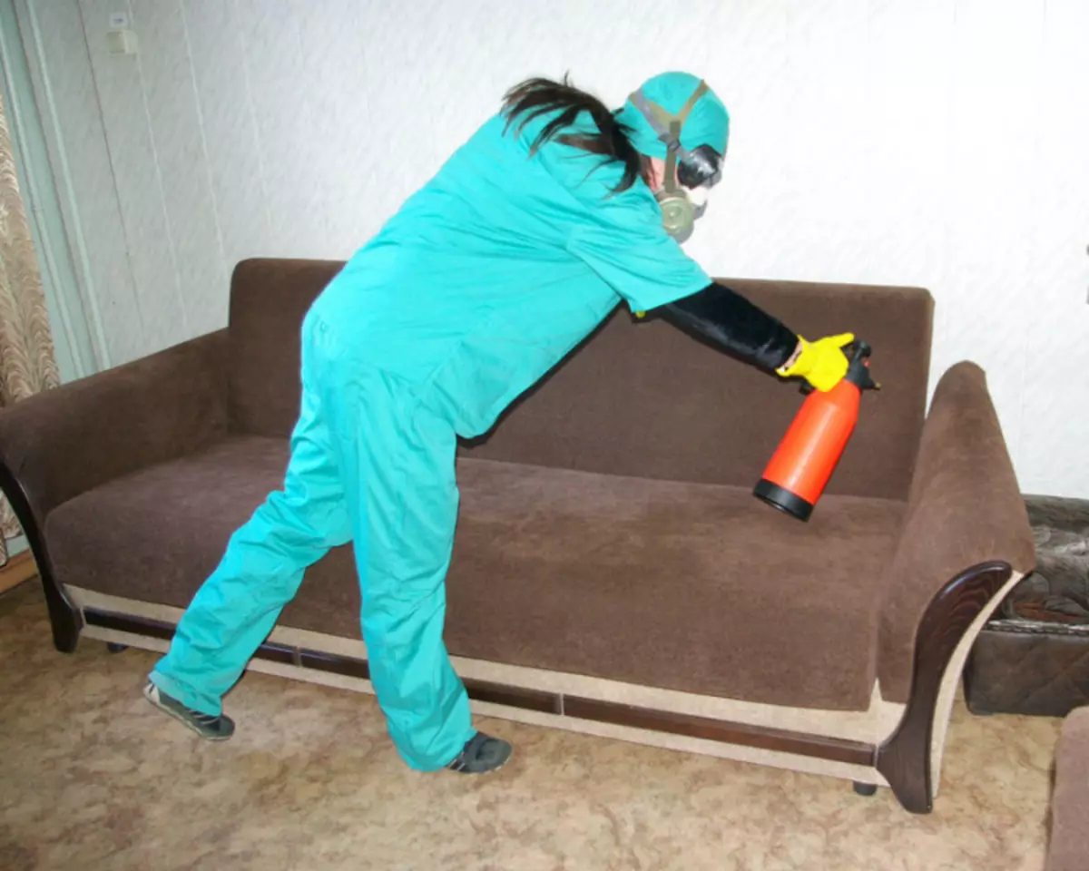 Hoe om bedbugs by die huis te bring deur folk remedies