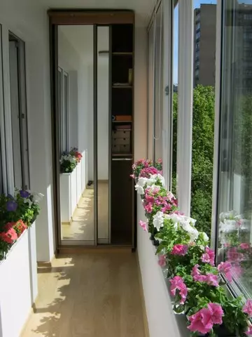 Idées pour stocker des légumes, vélo, skis et autres choses sur le balcon (30 photos)