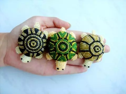 Turtle თქვენ თავს კონუსები და საბურავები ფოტოები და ვიდეოები