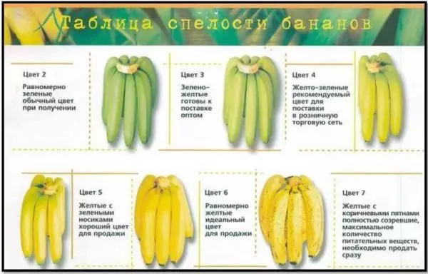 Всички трикове на дълги банани за съхранение