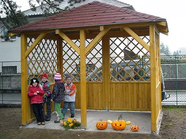 儿童幼儿园的凉亭：要求和注册