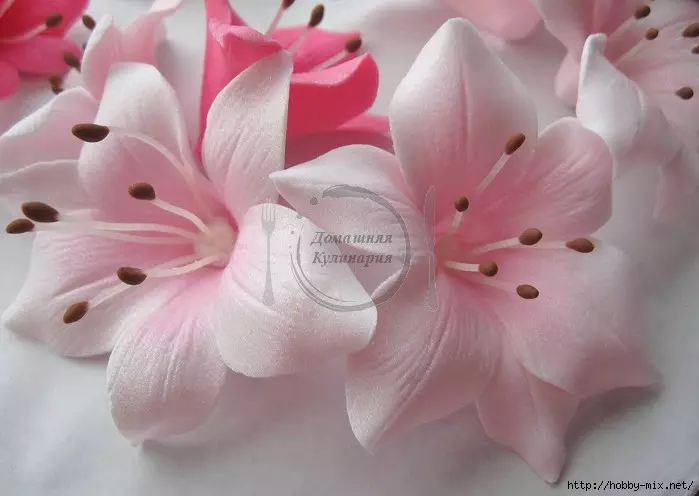 Ծաղիկներ պատրաստված մաստիկից պատրաստված ձեռքերով StepGovayovo հարսանեկան տորթերի համար